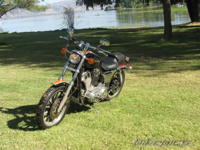1997 HARLEY DAVIDSON XLH 883 | Picture 1869169 motorcycle photo