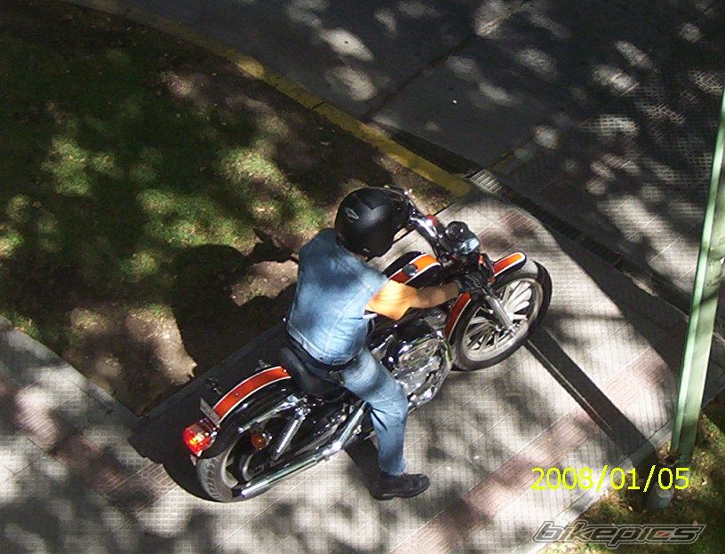 1997 HARLEY DAVIDSON XLH 883 | Picture 1869216 motorcycle photo
