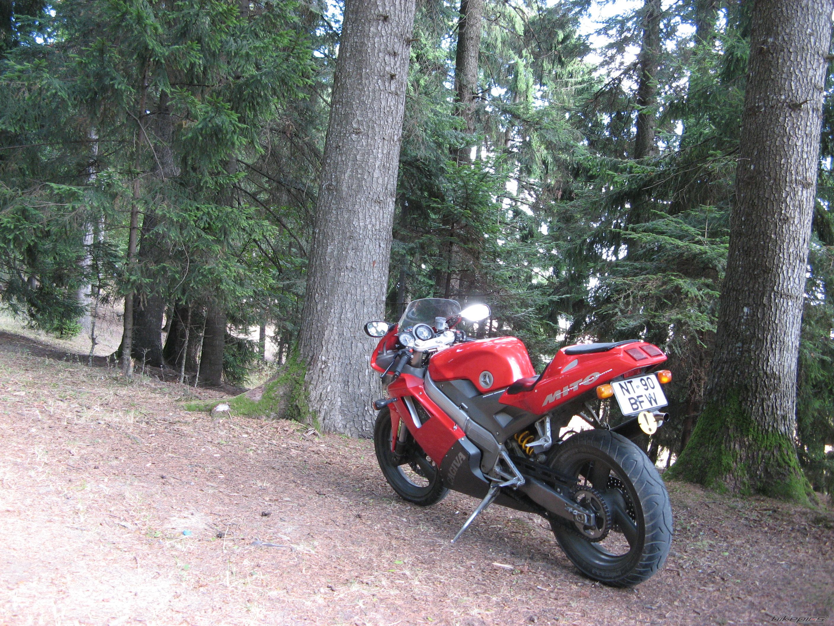 1996 CAGIVA MITO 125 | Picture 1869441 motorcycle photo