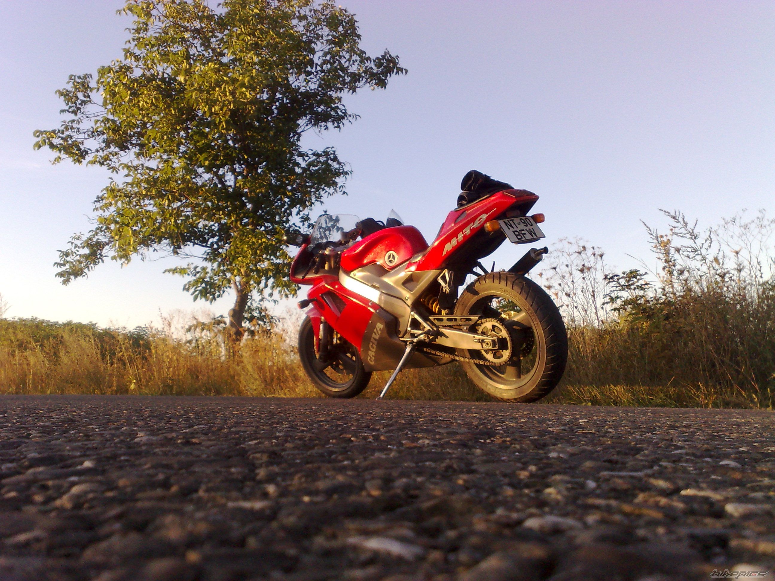 1996 CAGIVA MITO 125 | Picture 1869454 motorcycle photo
