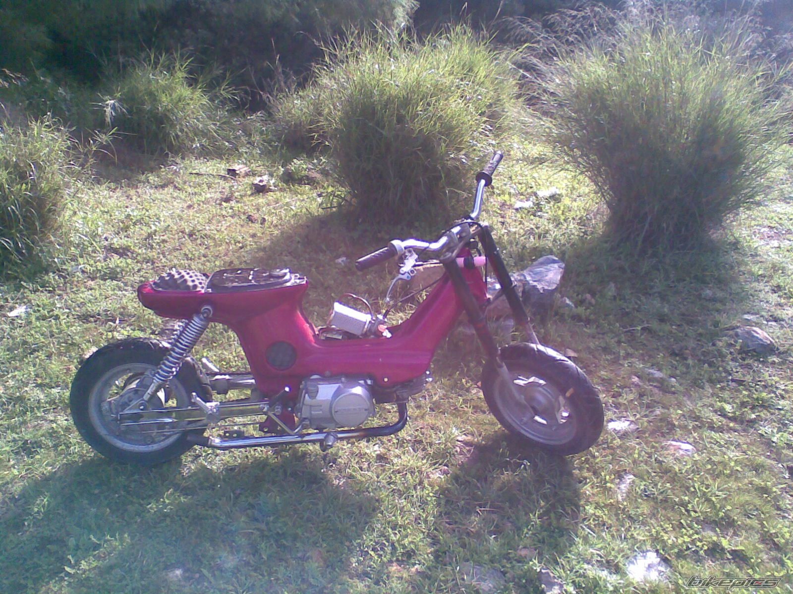 2009   | Picture 1869629 motorcycle photo