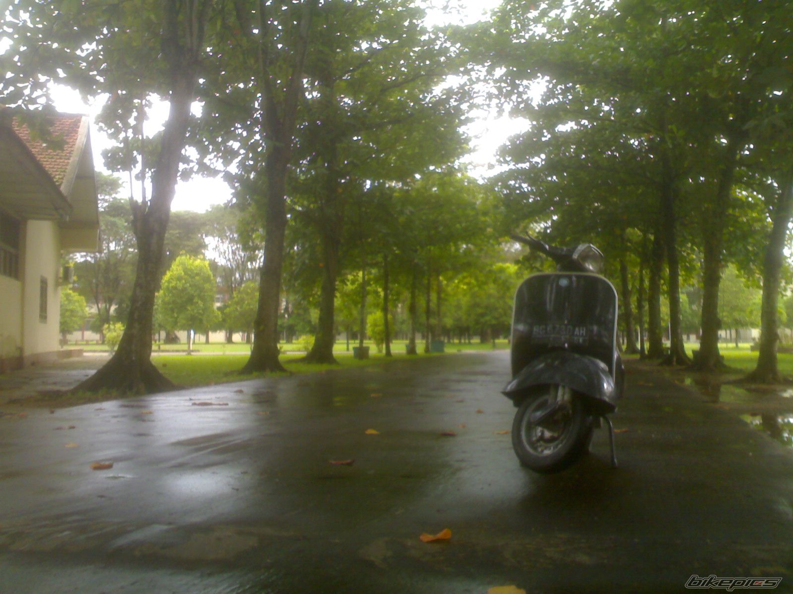 1980 VESPA SUPER 150 | Picture 1871228 motorcycle photo