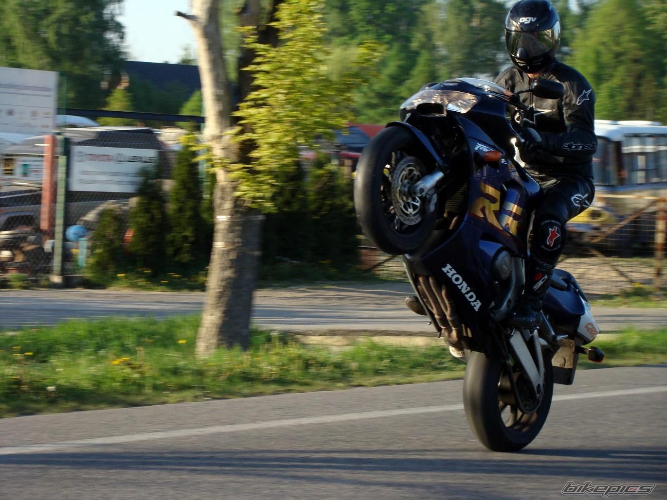 1999 HONDA CBR 1000  RR | Picture 1871800 motorcycle photo