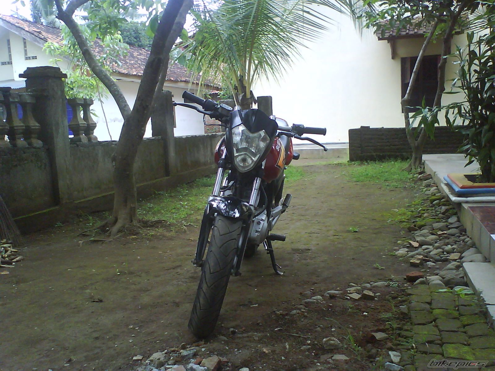 2009 SUZUKI EN 125 | Picture 1872600 motorcycle photo
