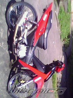 2010 RAM 100 MINI UTILITY | Picture 1873516 motorcycle photo