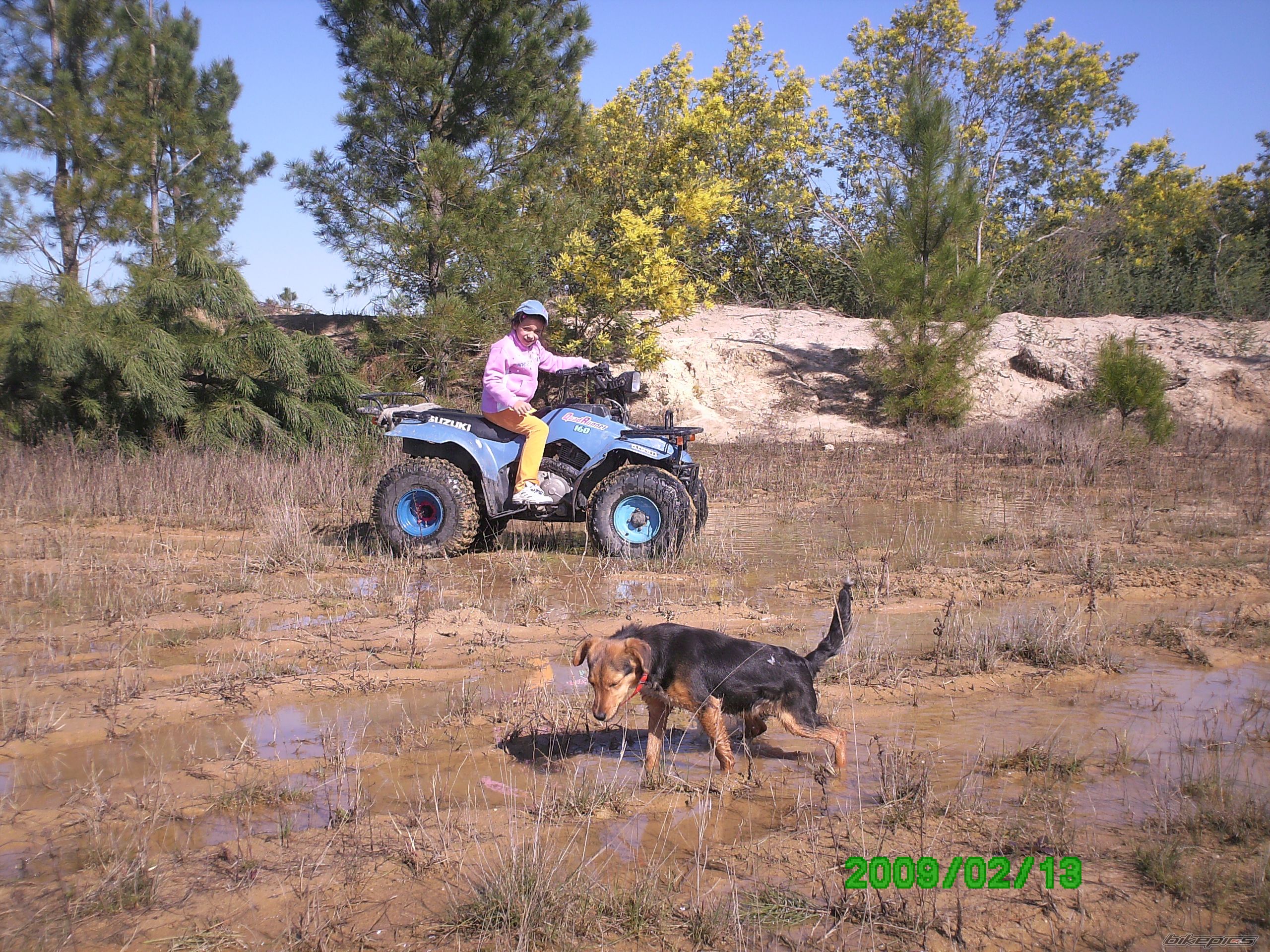 1998 SUZUKI Q. RUNNER 160 | Picture 1873538 motorcycle photo