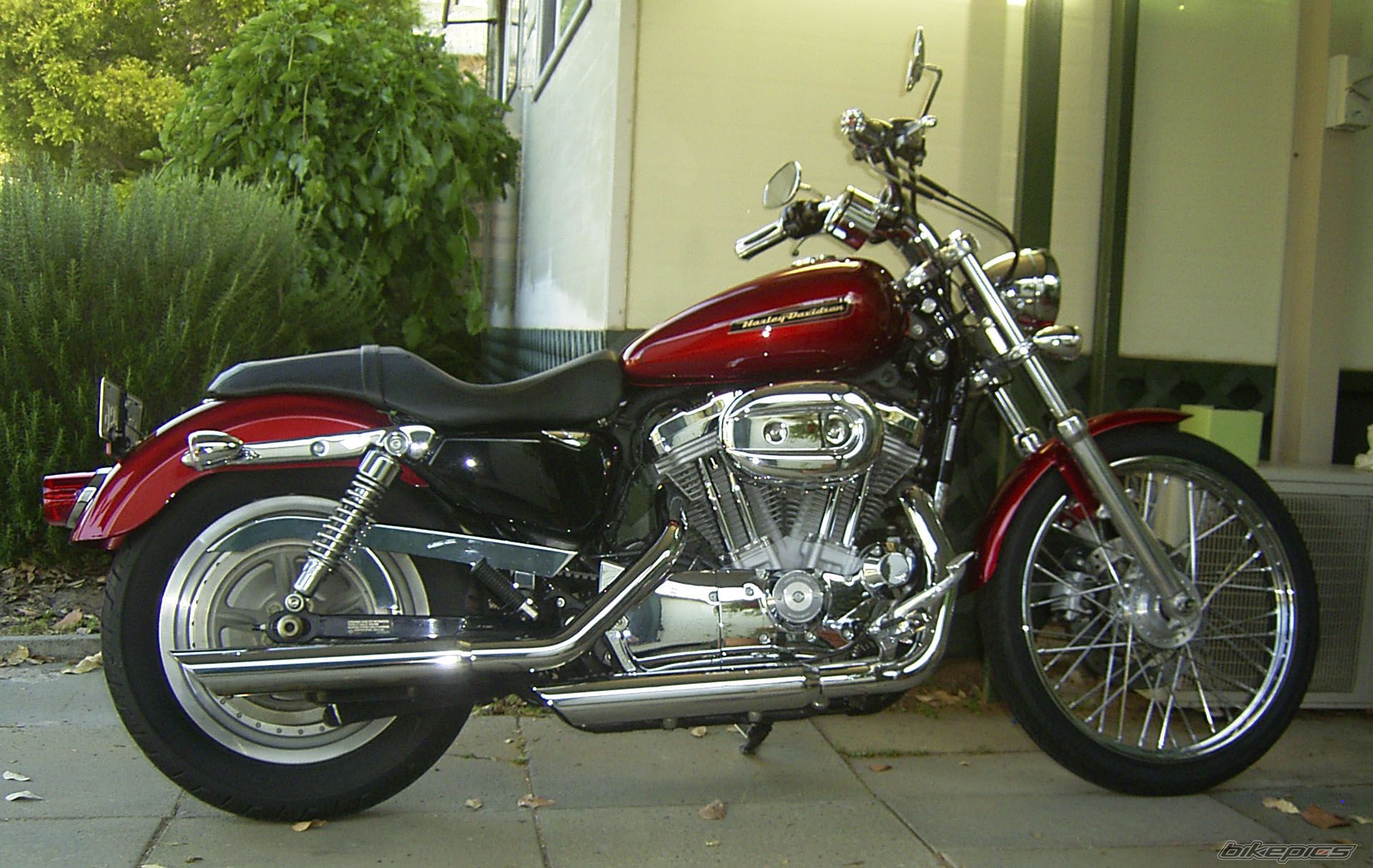 2008 HARLEY DAVIDSON XL 883C | Picture 1873544 motorcycle photo