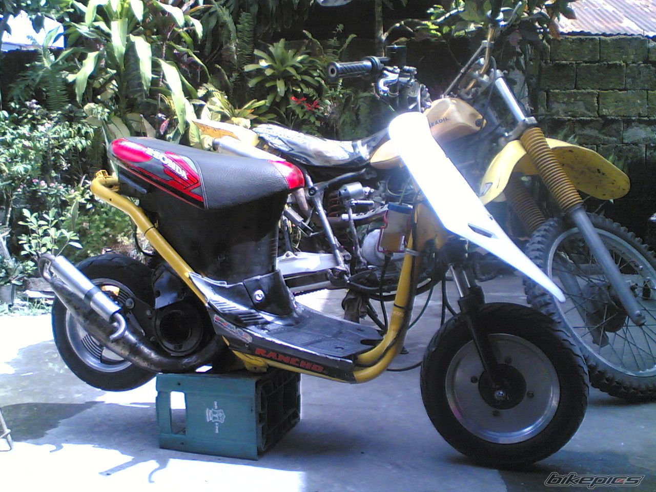 2009 HONDA DIO 50 | Picture 1874203 motorcycle photo