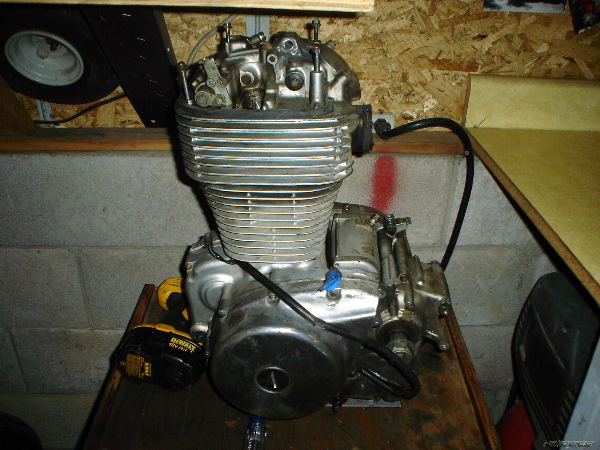 1987 SUZUKI SAVAGE | Picture 1874255 motorcycle photo
