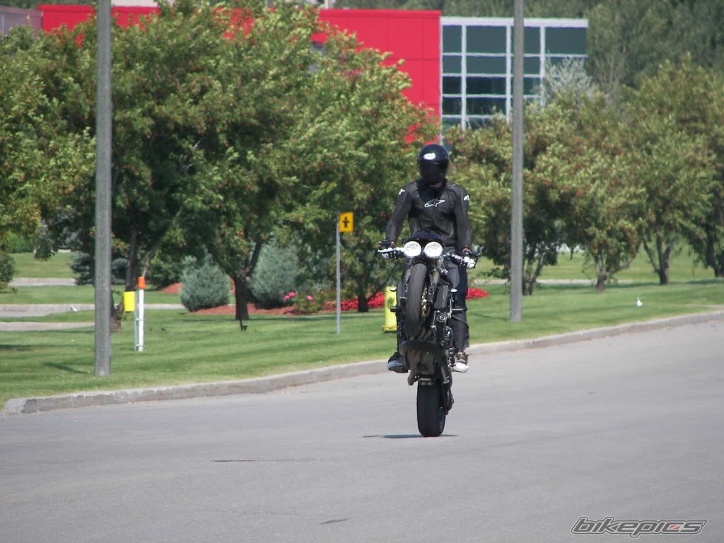 2009 TRIUMPH SPEED TRIPLE | Picture 1875051 motorcycle photo