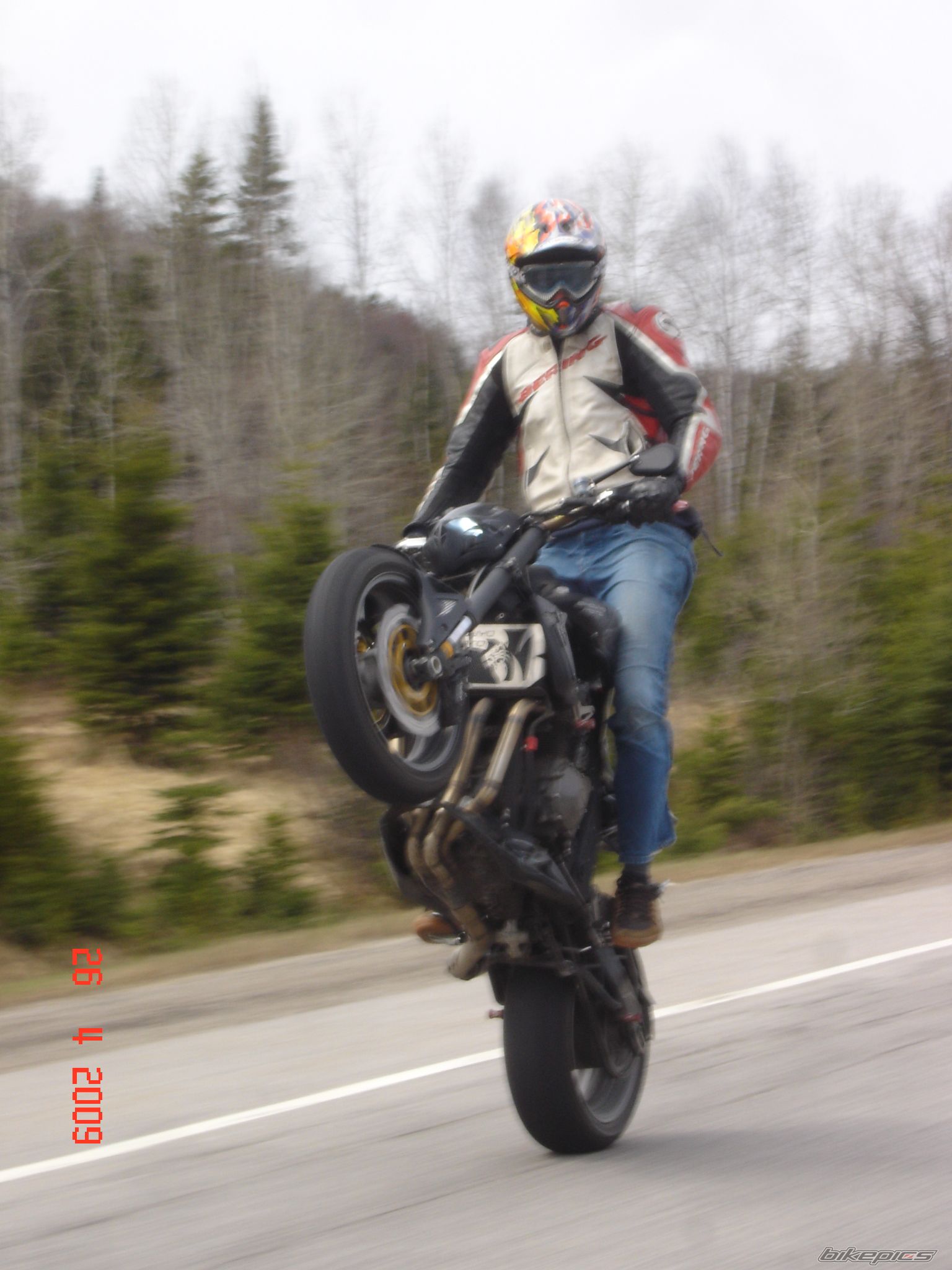 2005 SUZUKI BANDIT 1200S | Picture 1875064 motorcycle photo