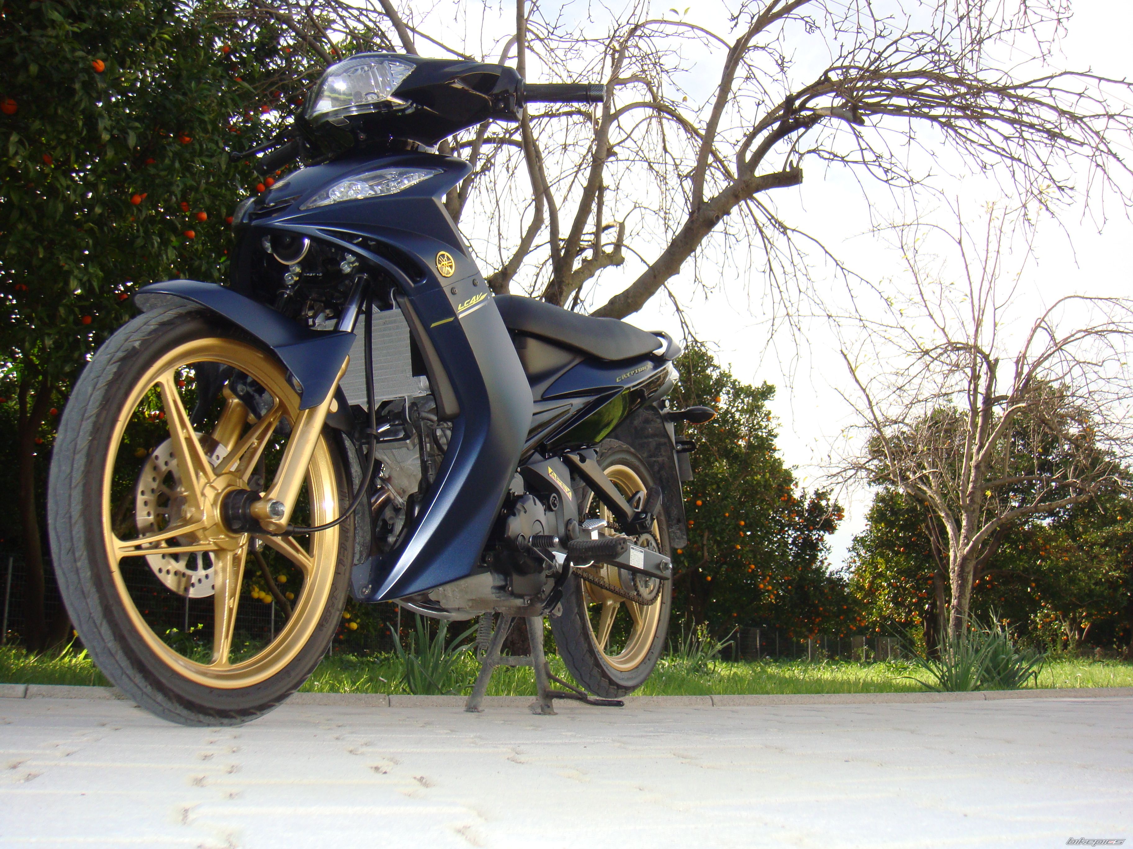 2010 YAMAHA CRYPTON R 137 | Picture 1875309 motorcycle photo