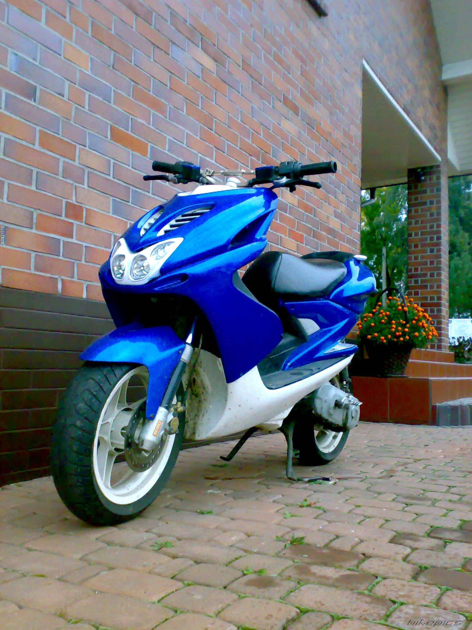 2002 YAMAHA AEROX 50 | Picture 1875613 motorcycle photo