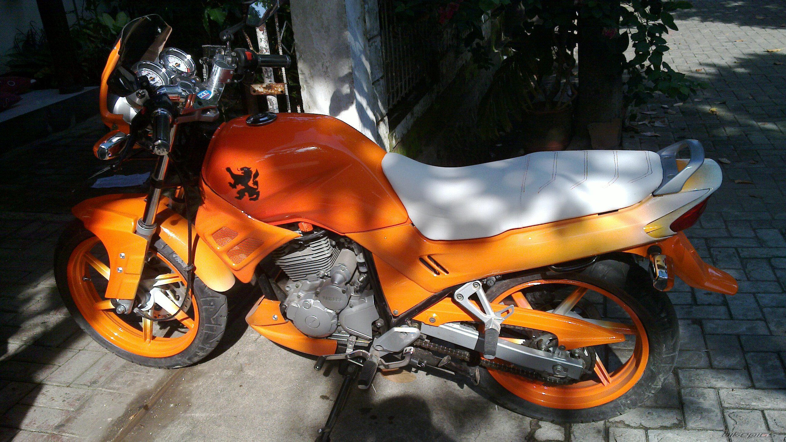 2008 YAMAHA SCORPIO 225 | Picture 1875673 motorcycle photo