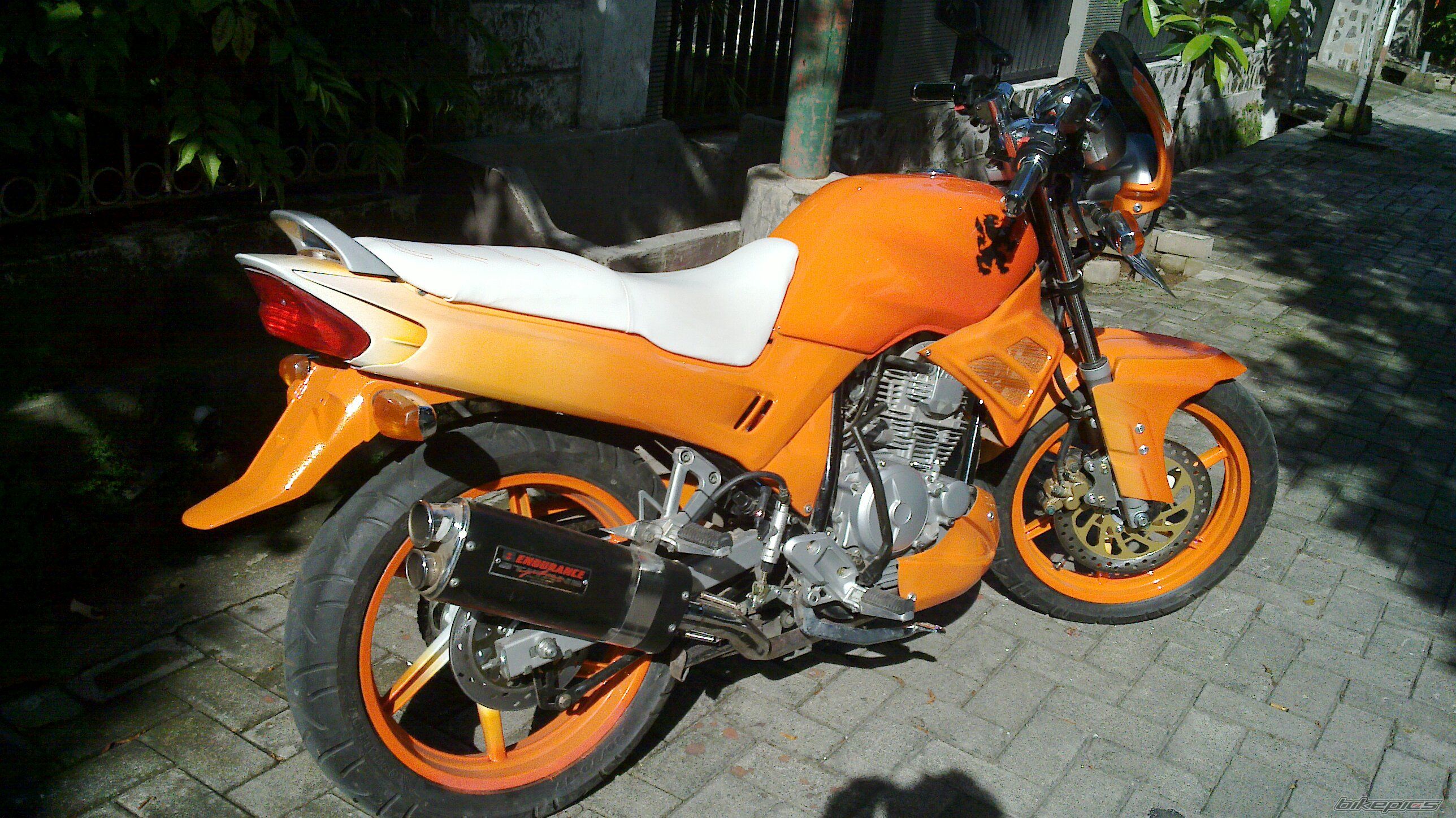 2008 YAMAHA SCORPIO 225 | Picture 1875679 motorcycle photo