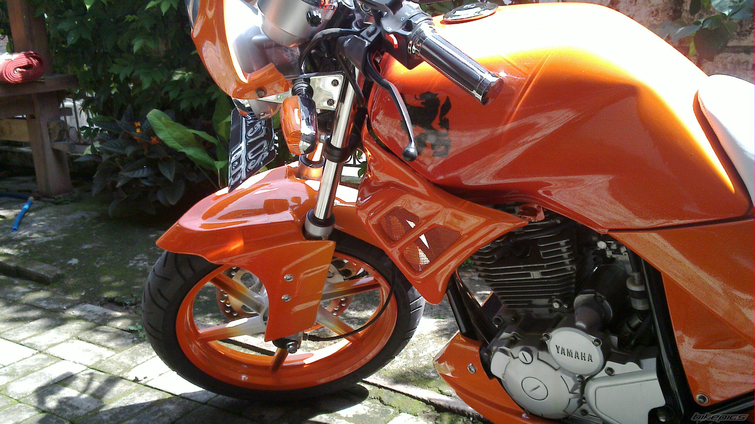 2008 YAMAHA SCORPIO 225 | Picture 1875687 motorcycle photo