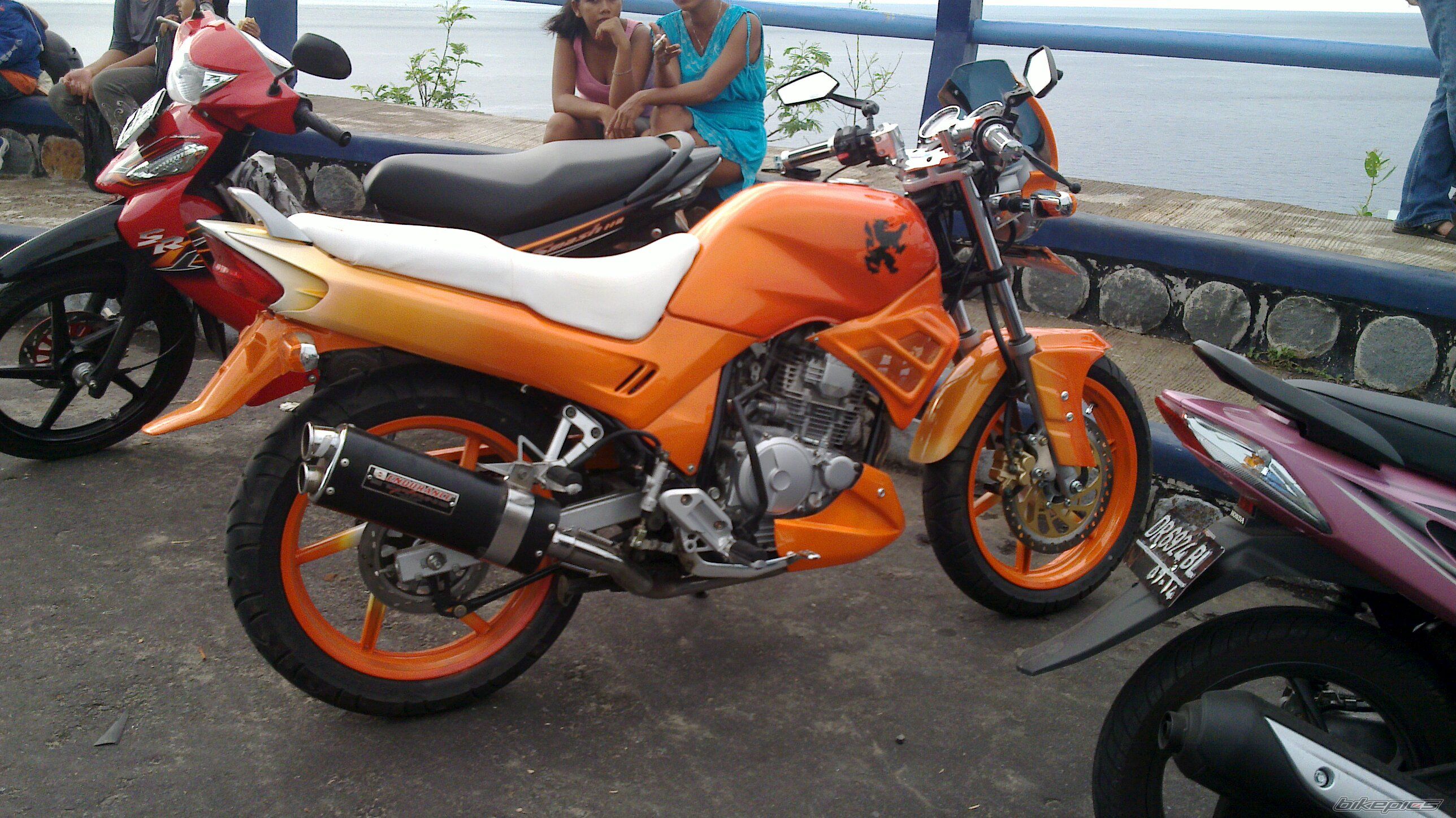 2008 YAMAHA SCORPIO 225 | Picture 1875700 motorcycle photo