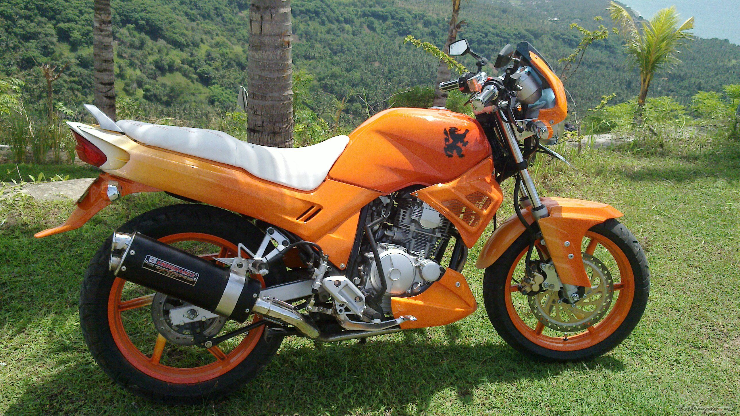 2008 YAMAHA SCORPIO 225 | Picture 1875716 motorcycle photo