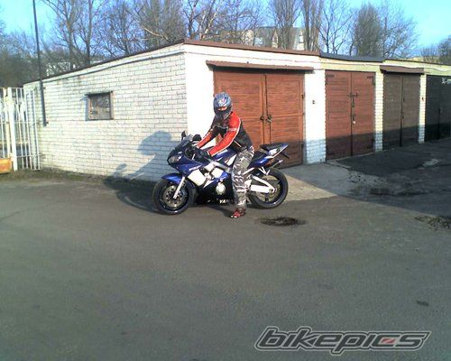 2002 YAMAHA YZF R6 | Picture 1876534 motorcycle photo