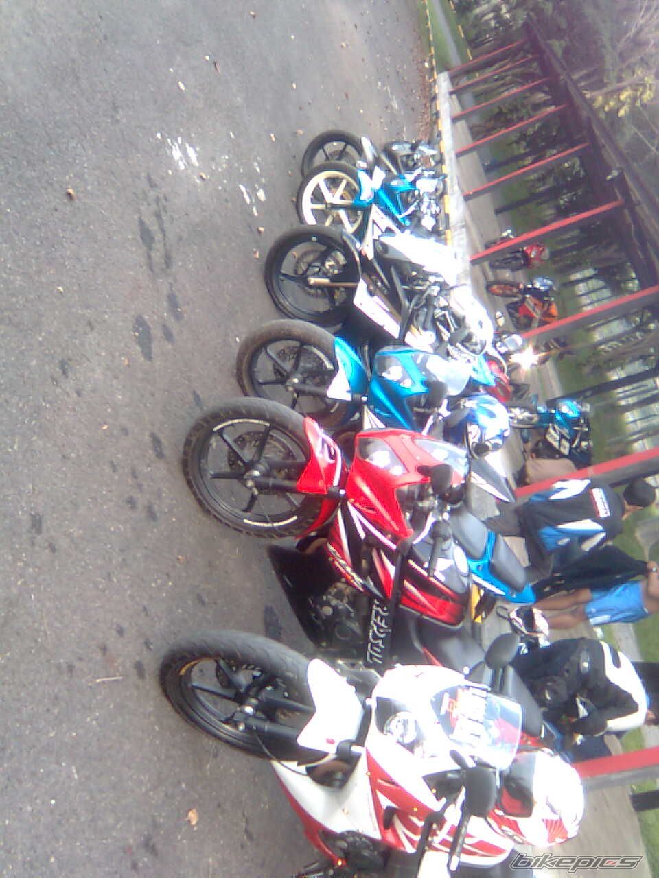 2009 HONDA CBR 150 | Picture 1877235 motorcycle photo