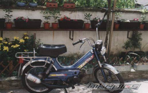 1988 TOMOS AUTOMATIK | Picture 187798 motorcycle photo