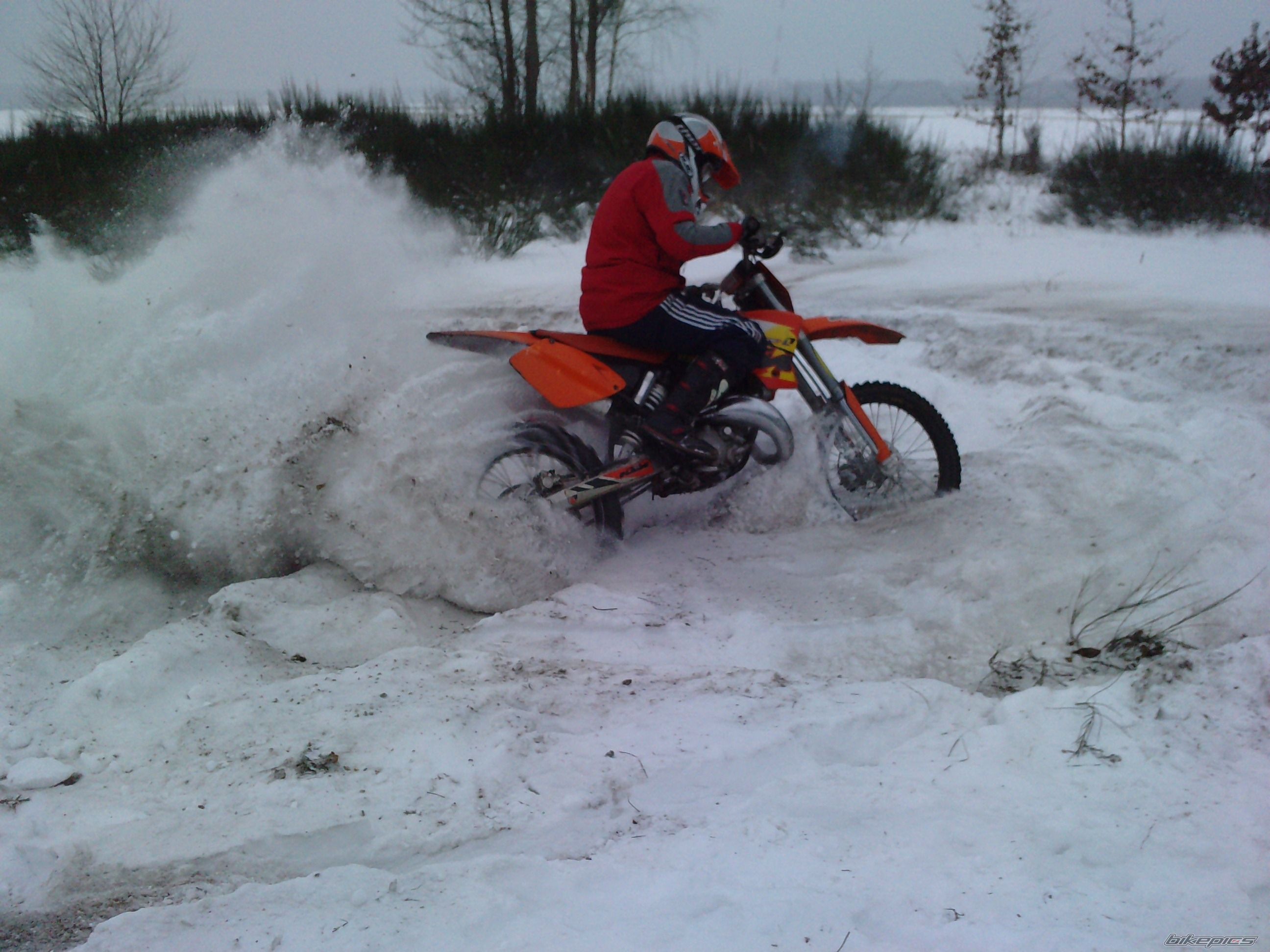 2002 KTM 125 SX | Picture 1878127 motorcycle photo