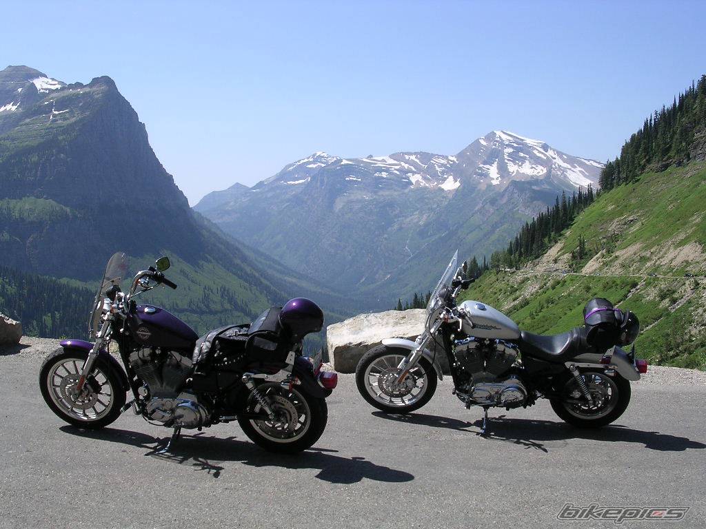 2004 HARLEY DAVIDSON XL 883C | Picture 187887 motorcycle photo