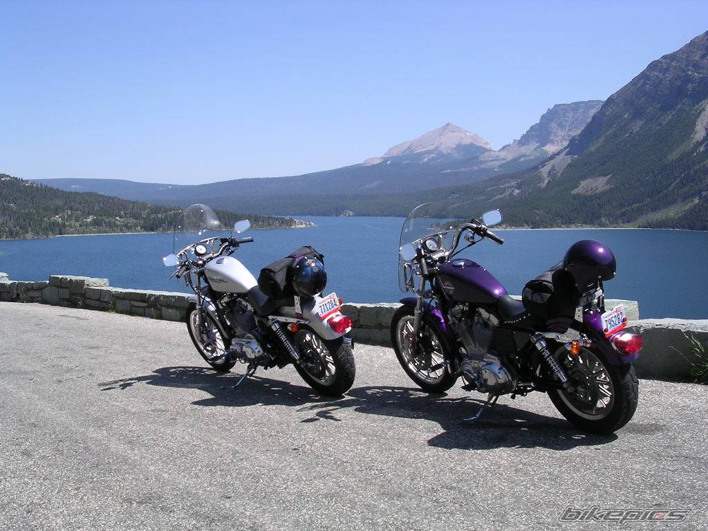 2004 HARLEY DAVIDSON XL 883C | Picture 187888 motorcycle photo