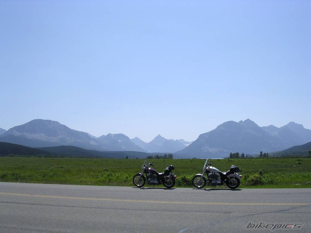 2004 HARLEY DAVIDSON XL 883C | Picture 187889 motorcycle photo