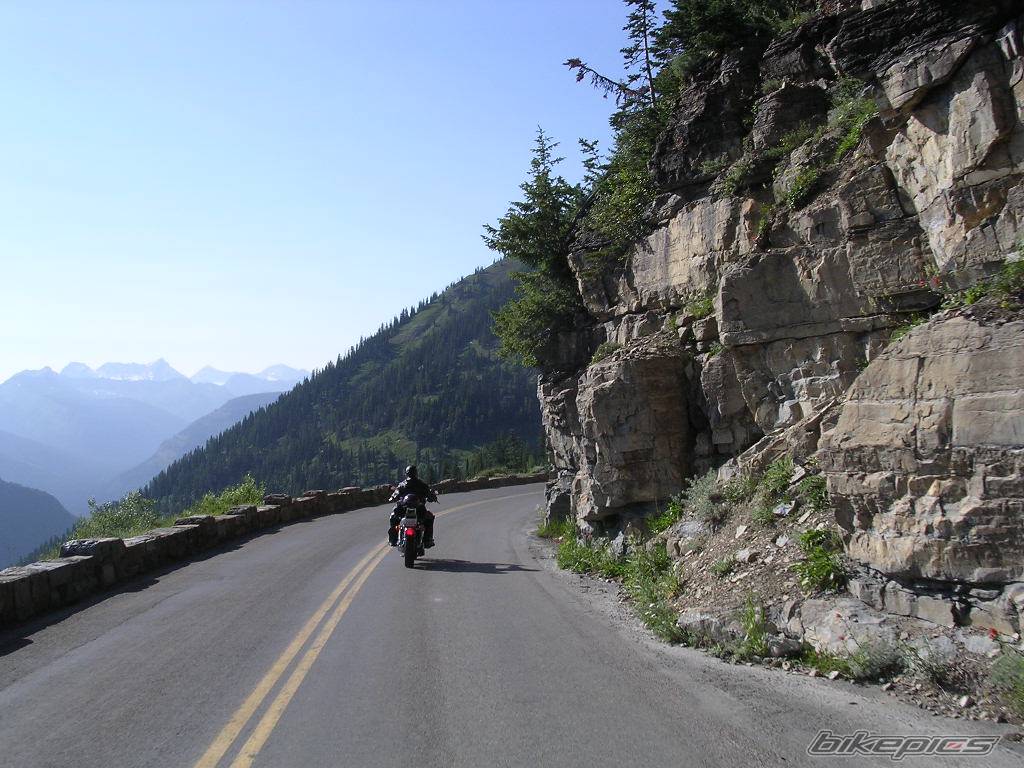 2004 HARLEY DAVIDSON XL 883C | Picture 187893 motorcycle photo