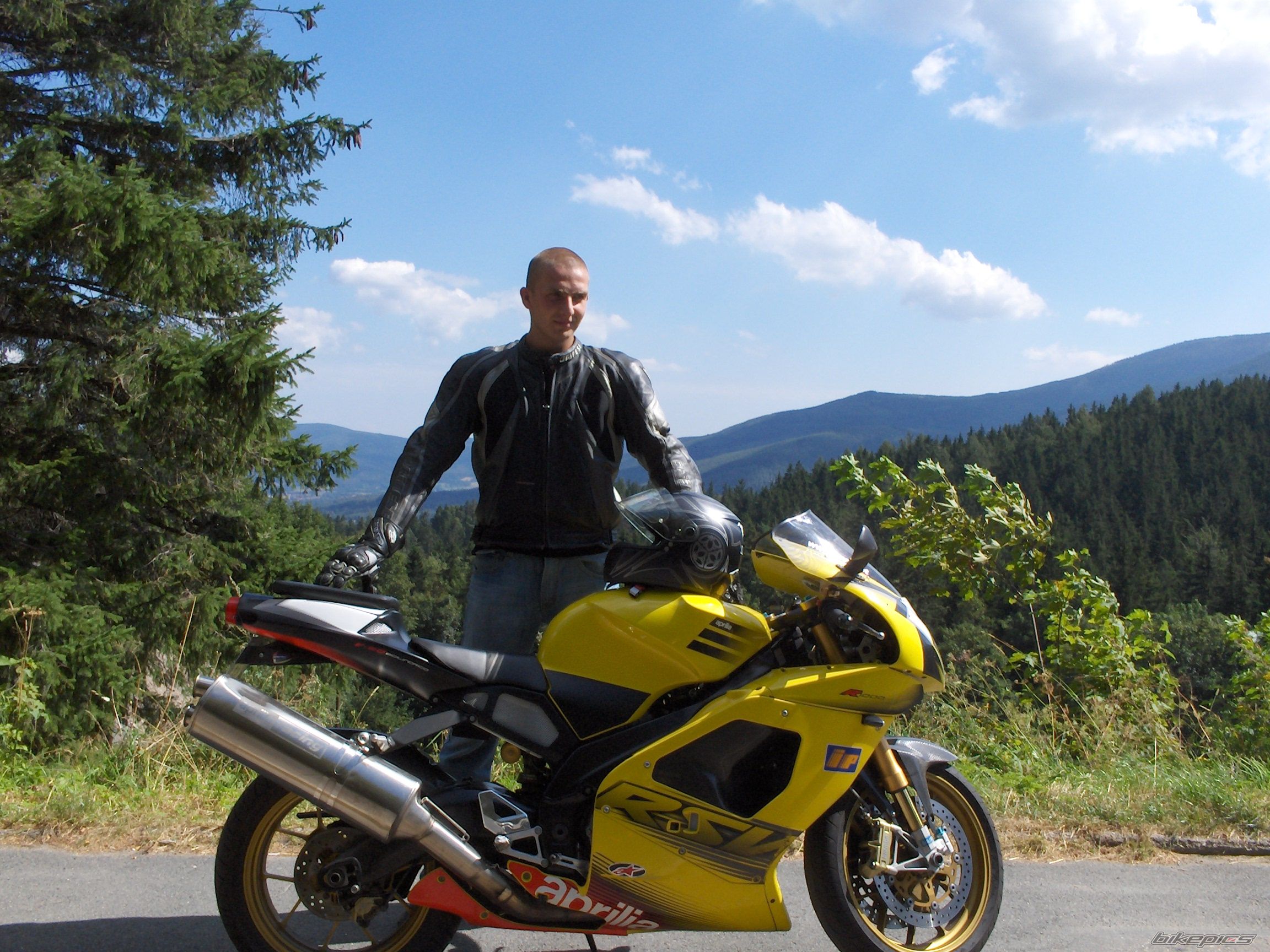 2003 APRILIA RSV 1000R MILLE | Picture 1879445 motorcycle photo