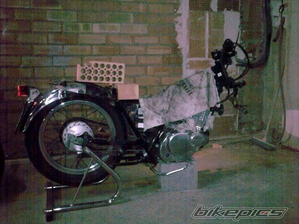 1998 SUZUKI TU 250 | Picture 1879463 motorcycle photo
