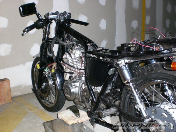 1998 SUZUKI TU 250 | Picture 1879470 motorcycle photo