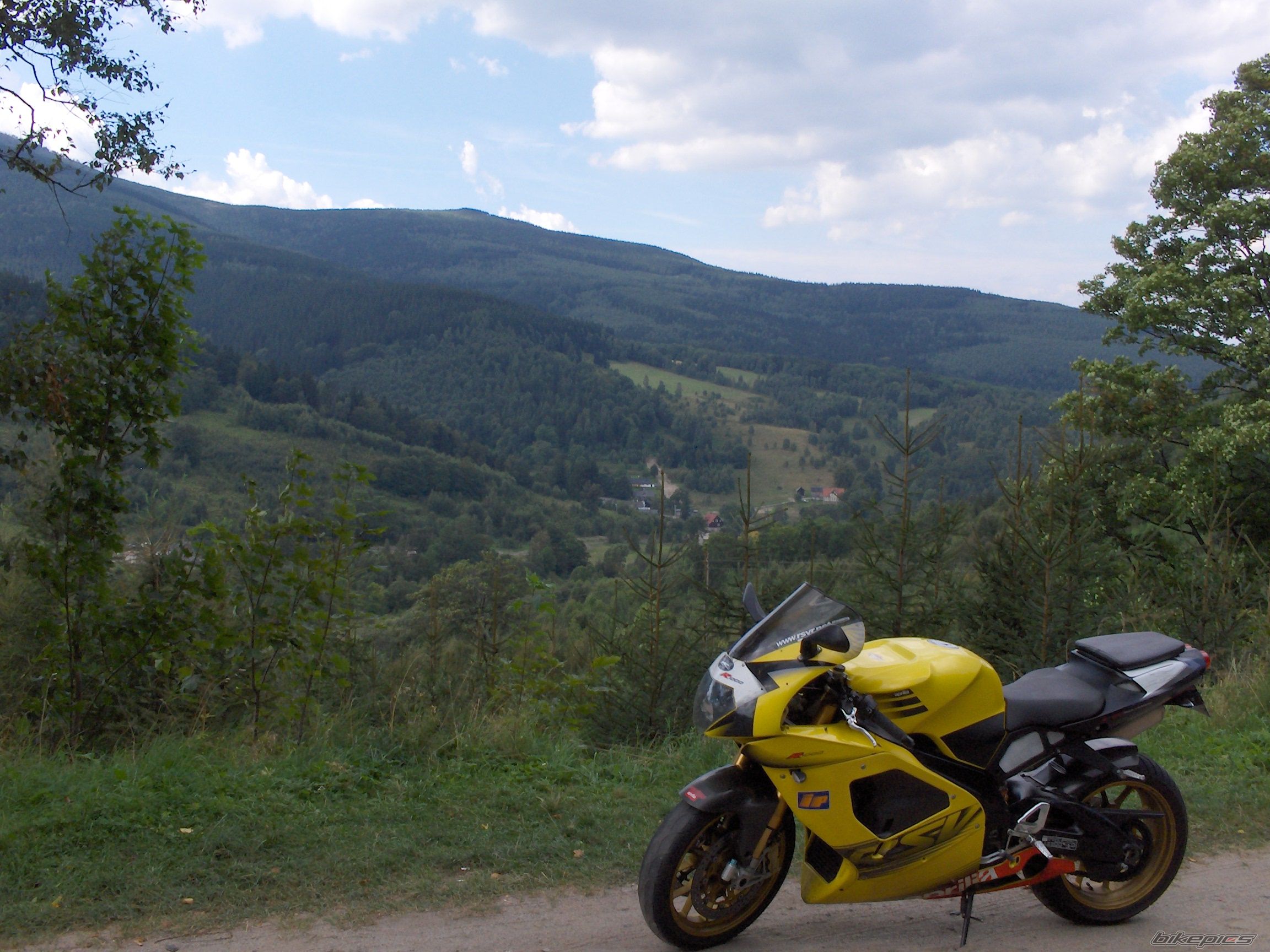 2003 APRILIA RSV 1000R MILLE | Picture 1879500 motorcycle photo