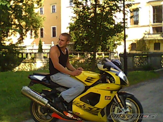 2003 APRILIA RSV 1000R MILLE | Picture 1879504 motorcycle photo