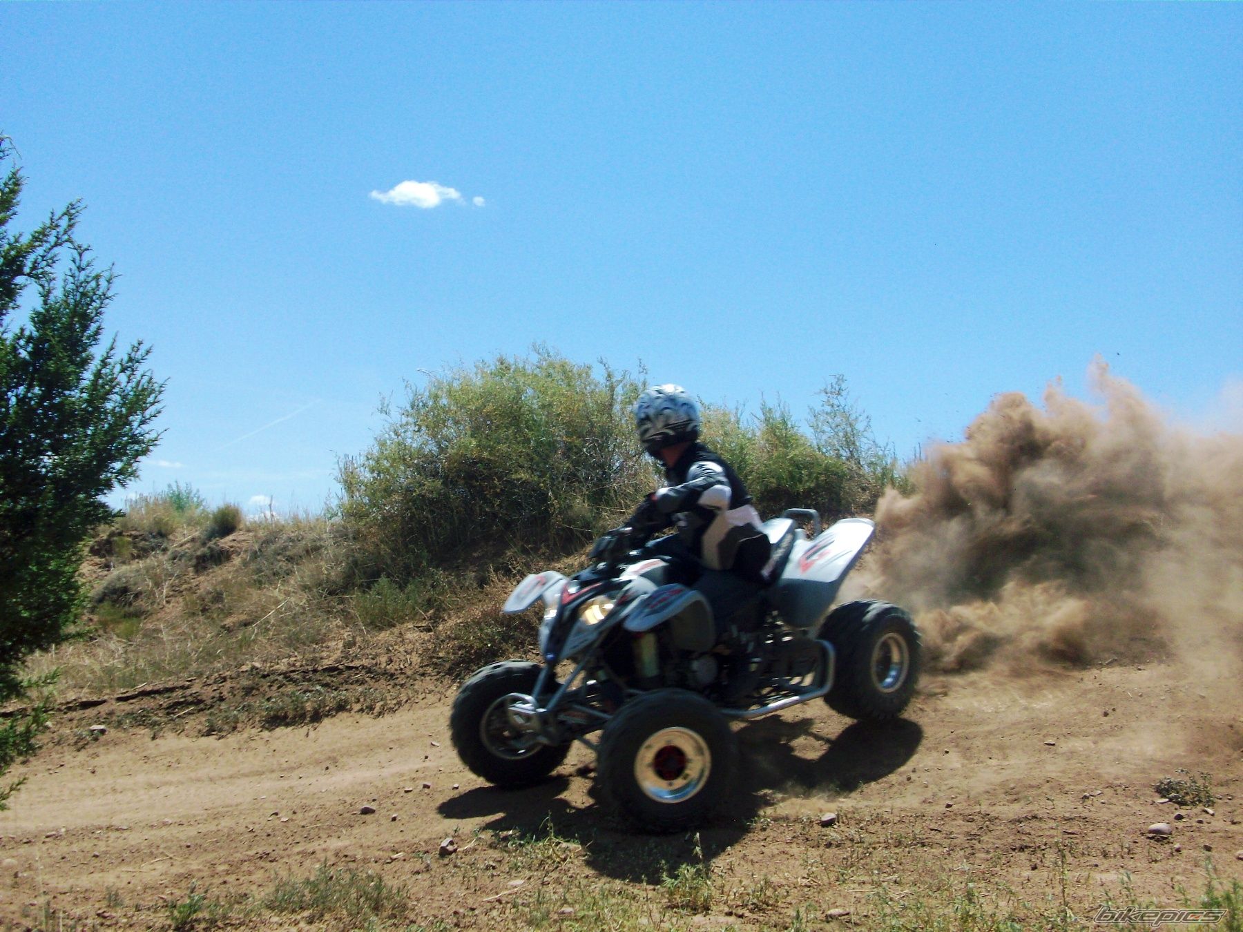 2004 POLARIS PREDATOR 500 | Picture 1880011 motorcycle photo