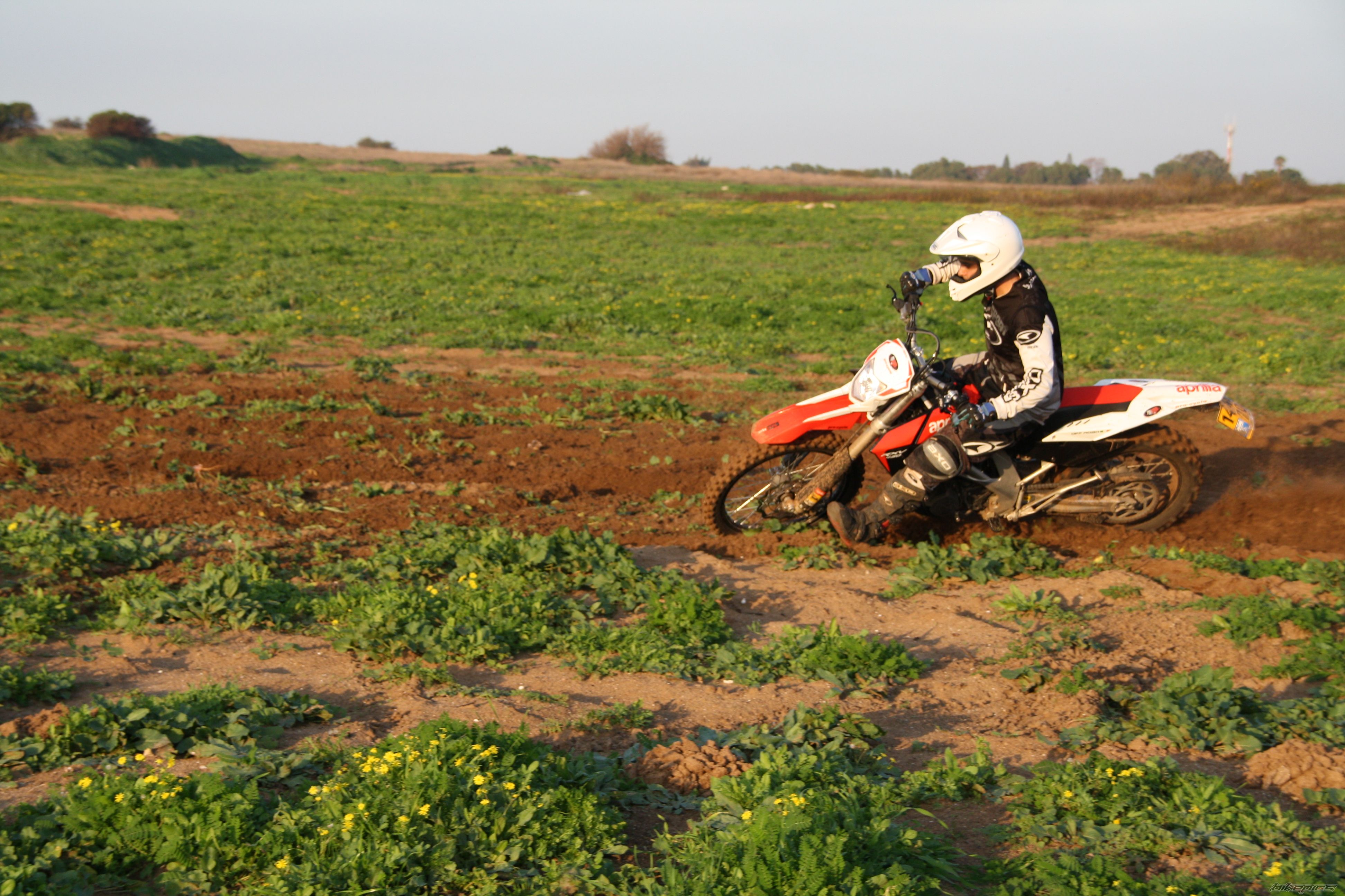 2009 APRILIA RXV 450 | Picture 1880280 motorcycle photo