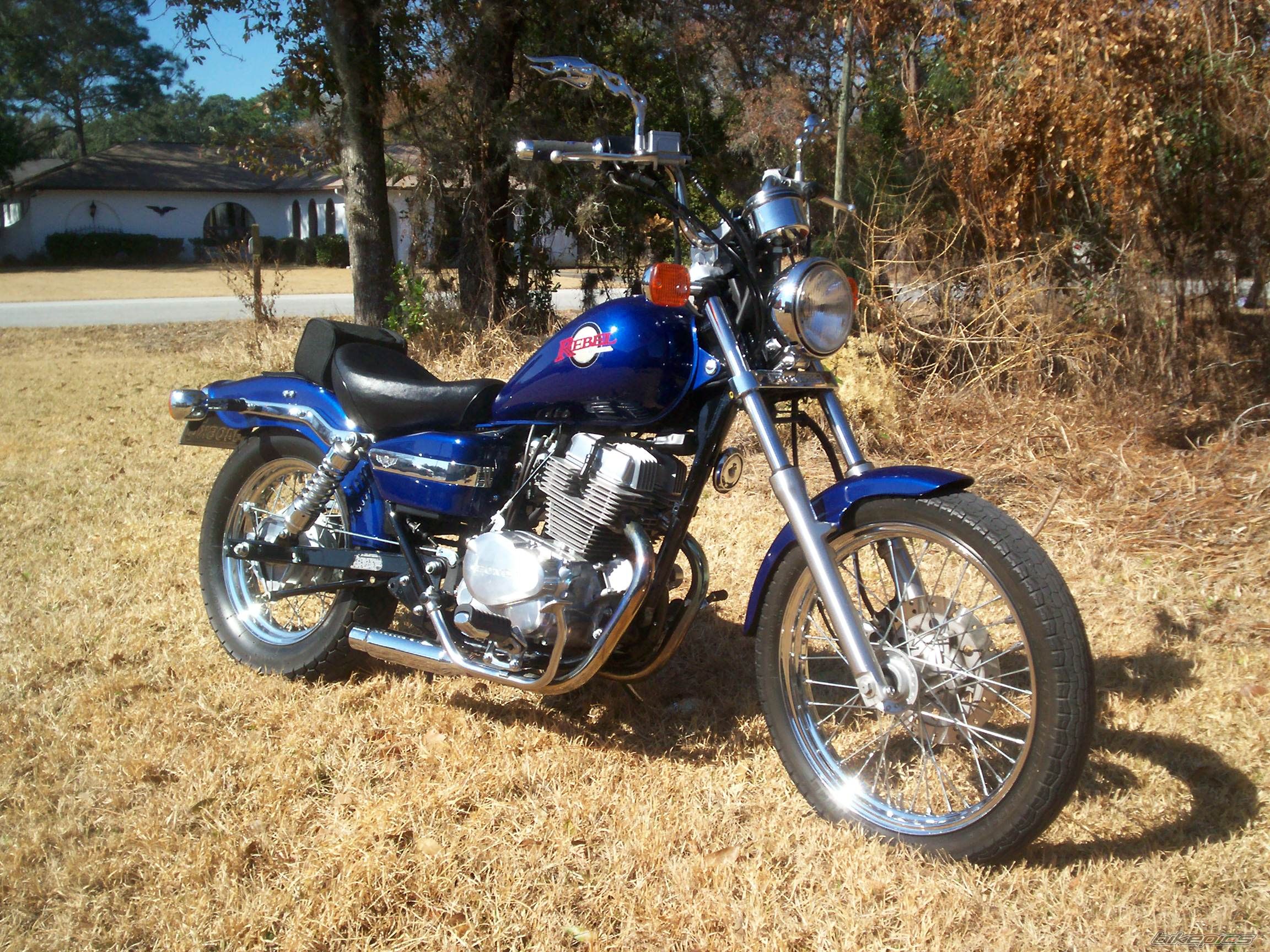 2001 HONDA CMX 250 | Picture 1880506 motorcycle photo