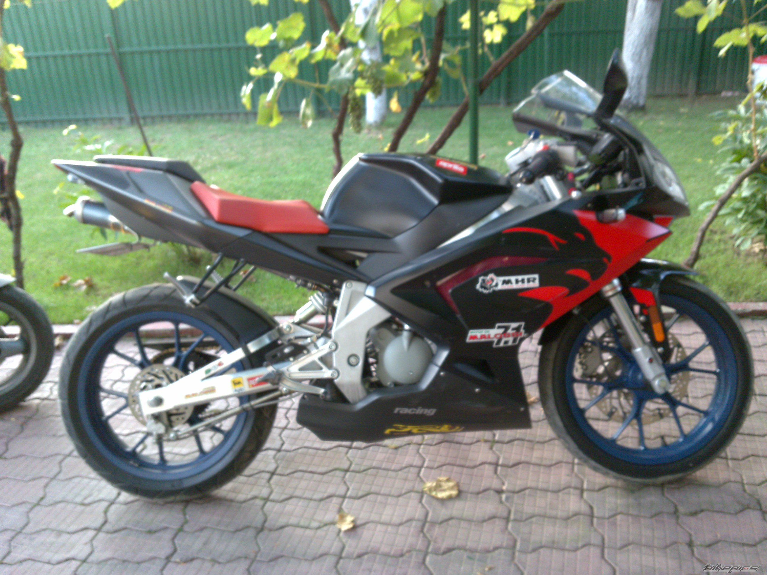 2008 APRILIA RS 50 | Picture 1880542 motorcycle photo