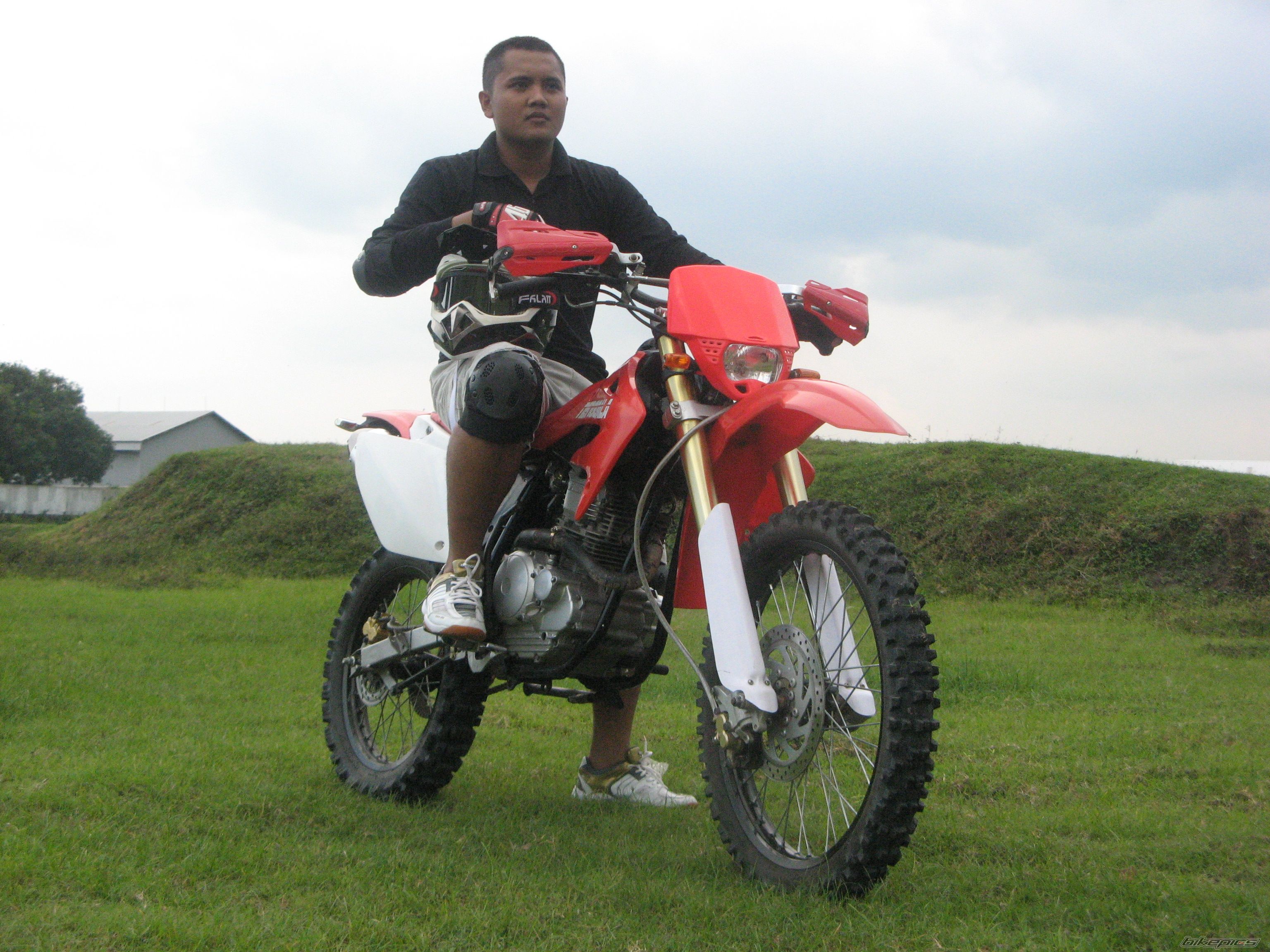 2010 YAMAHA SCORPIO 225 | Picture 1880961 motorcycle photo