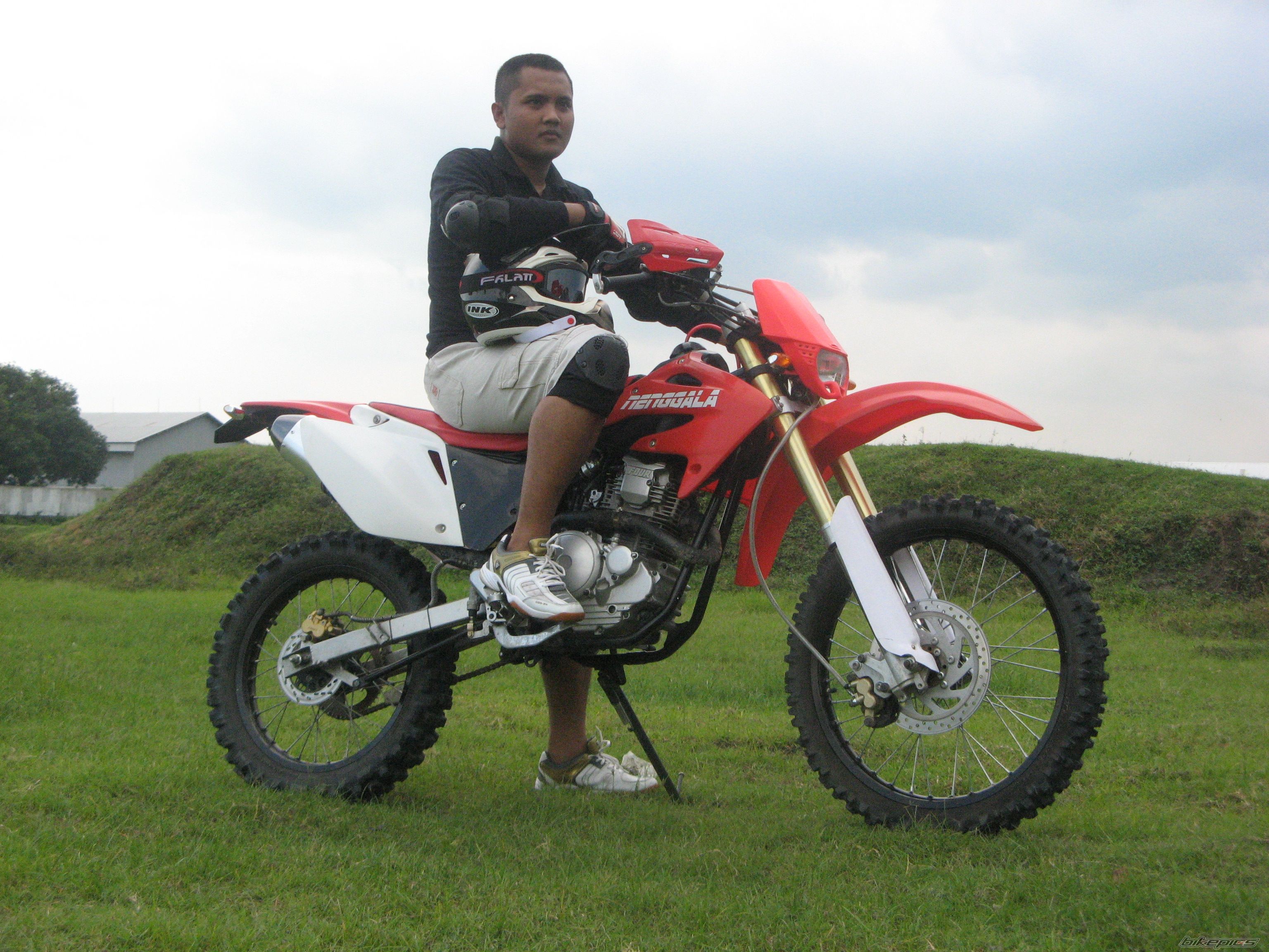 2010 YAMAHA SCORPIO 225 | Picture 1880964 motorcycle photo