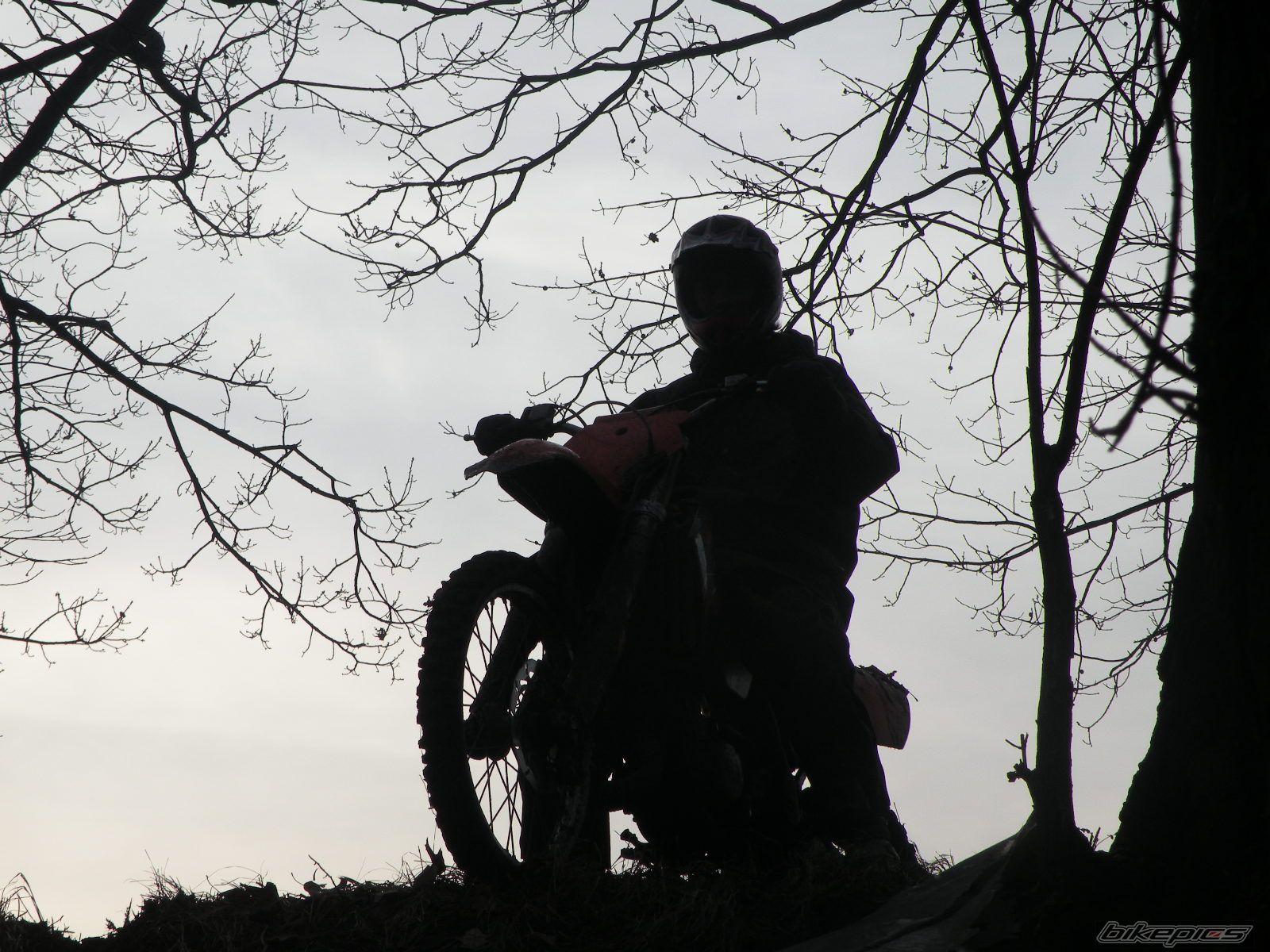 2004 KTM 125 SX | Picture 1881394 motorcycle photo