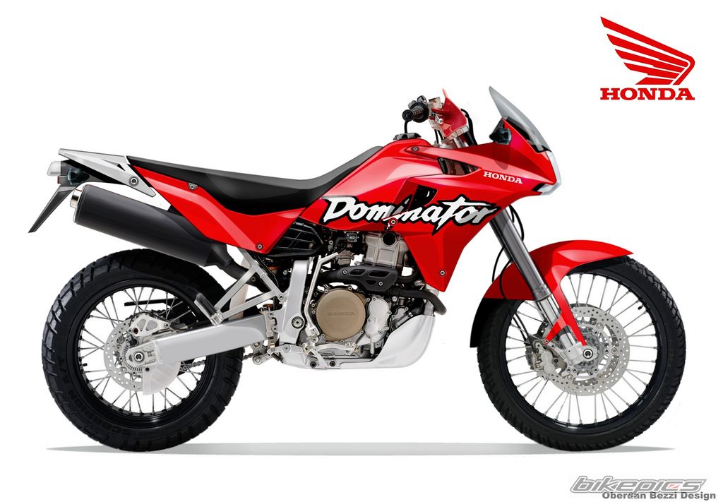 2010 HONDA NX 650 DOMINATOR | Picture 1882152 motorcycle photo