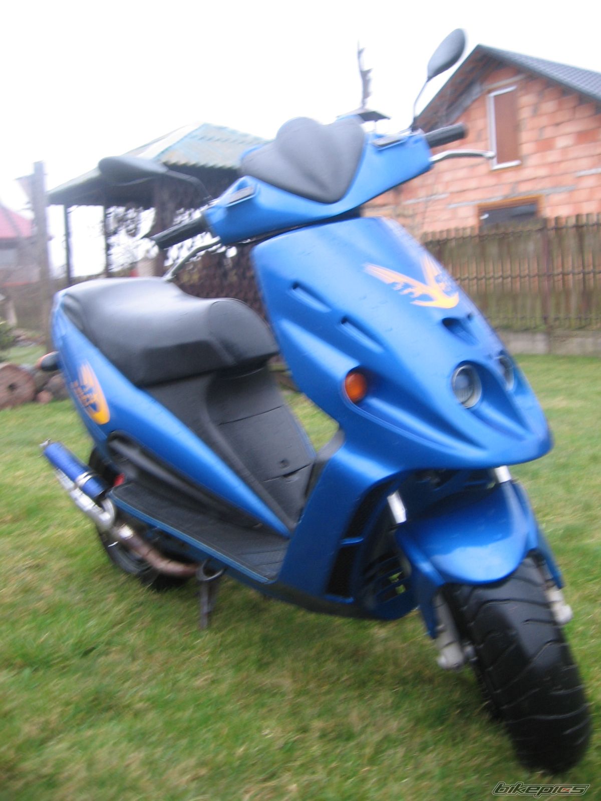 2001 MALAGUTI F 12 50 | Picture 1882666 motorcycle photo