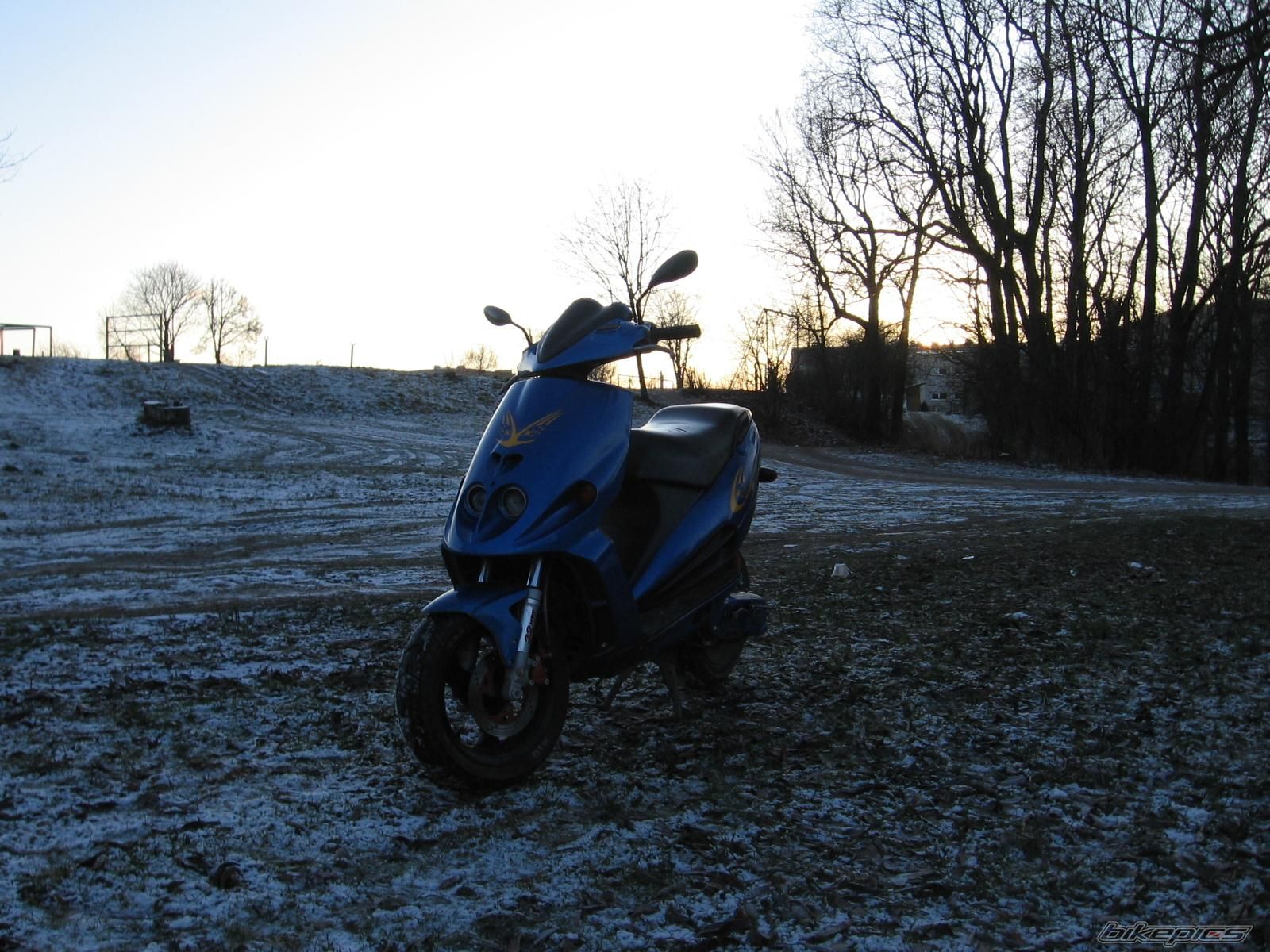 2001 MALAGUTI F 12 50 | Picture 1882681 motorcycle photo