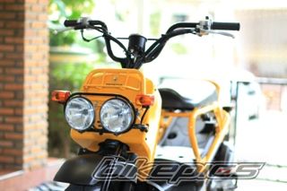 2006 HONDA HONDA  ZOOMER 50 | Picture 1884729 motorcycle photo
