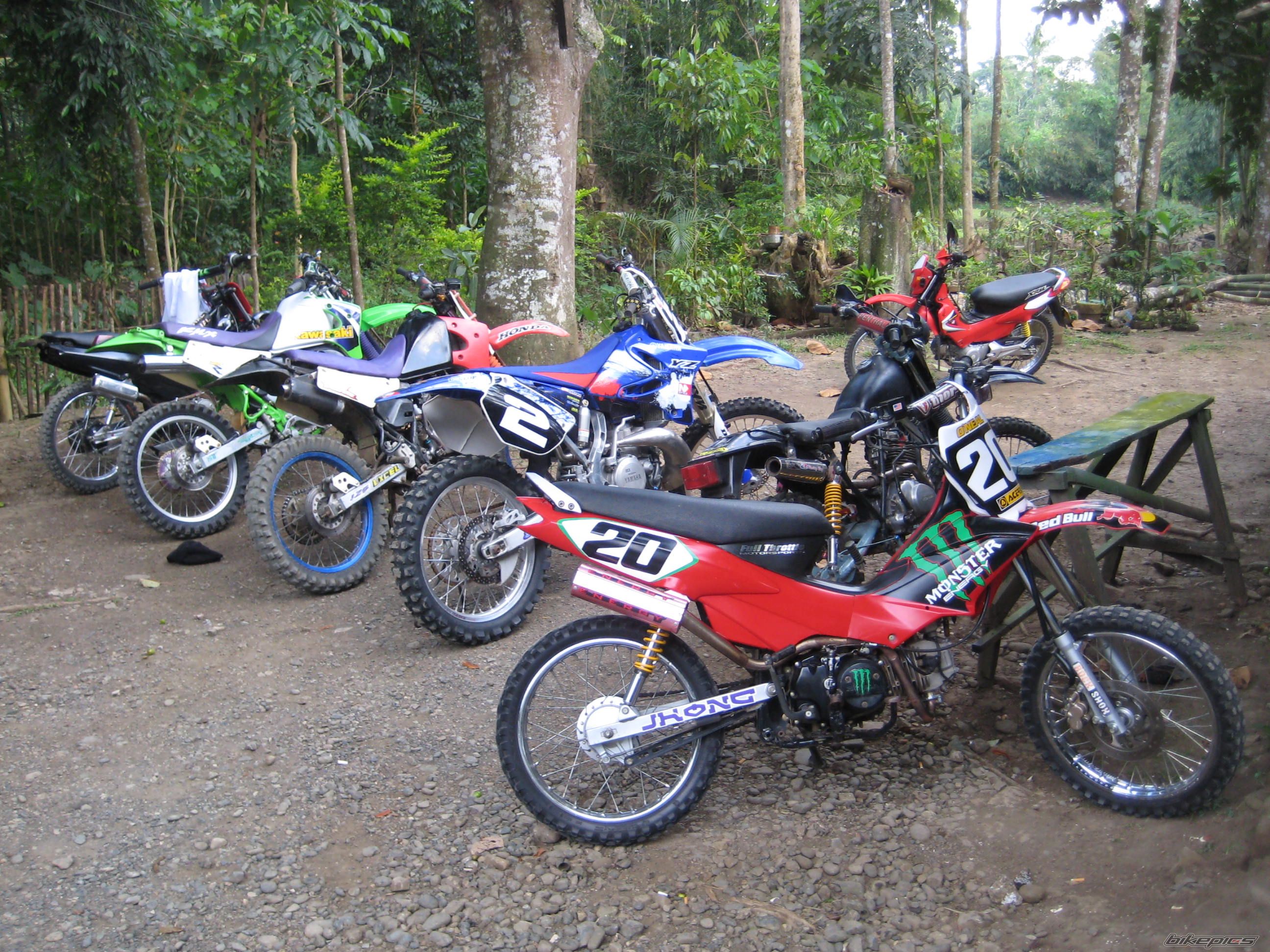 2009 KAWASAKI KMX 125 | Picture 1884827 motorcycle photo