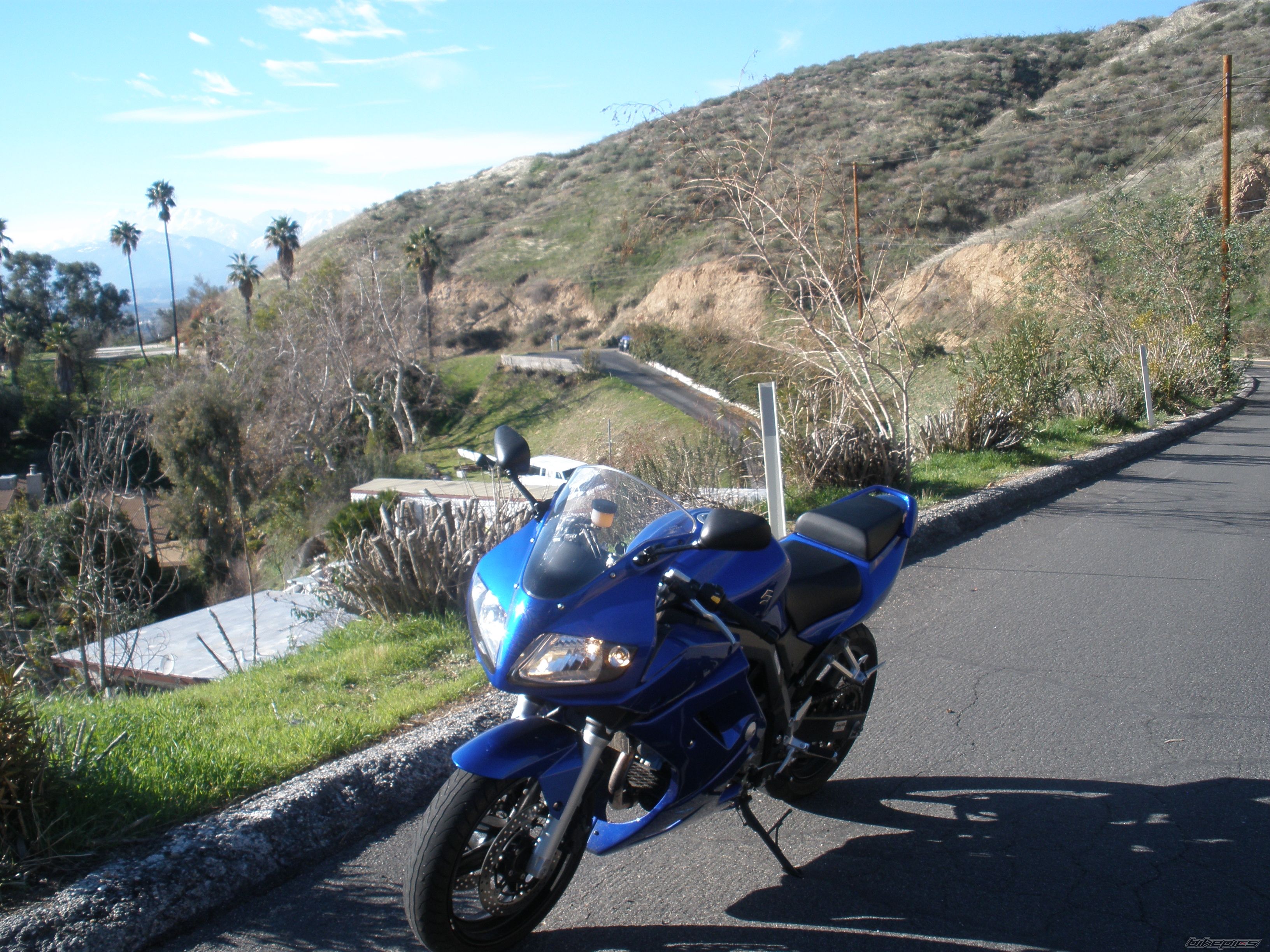 2005 SUZUKI SV 650S | Picture 1885402 motorcycle photo