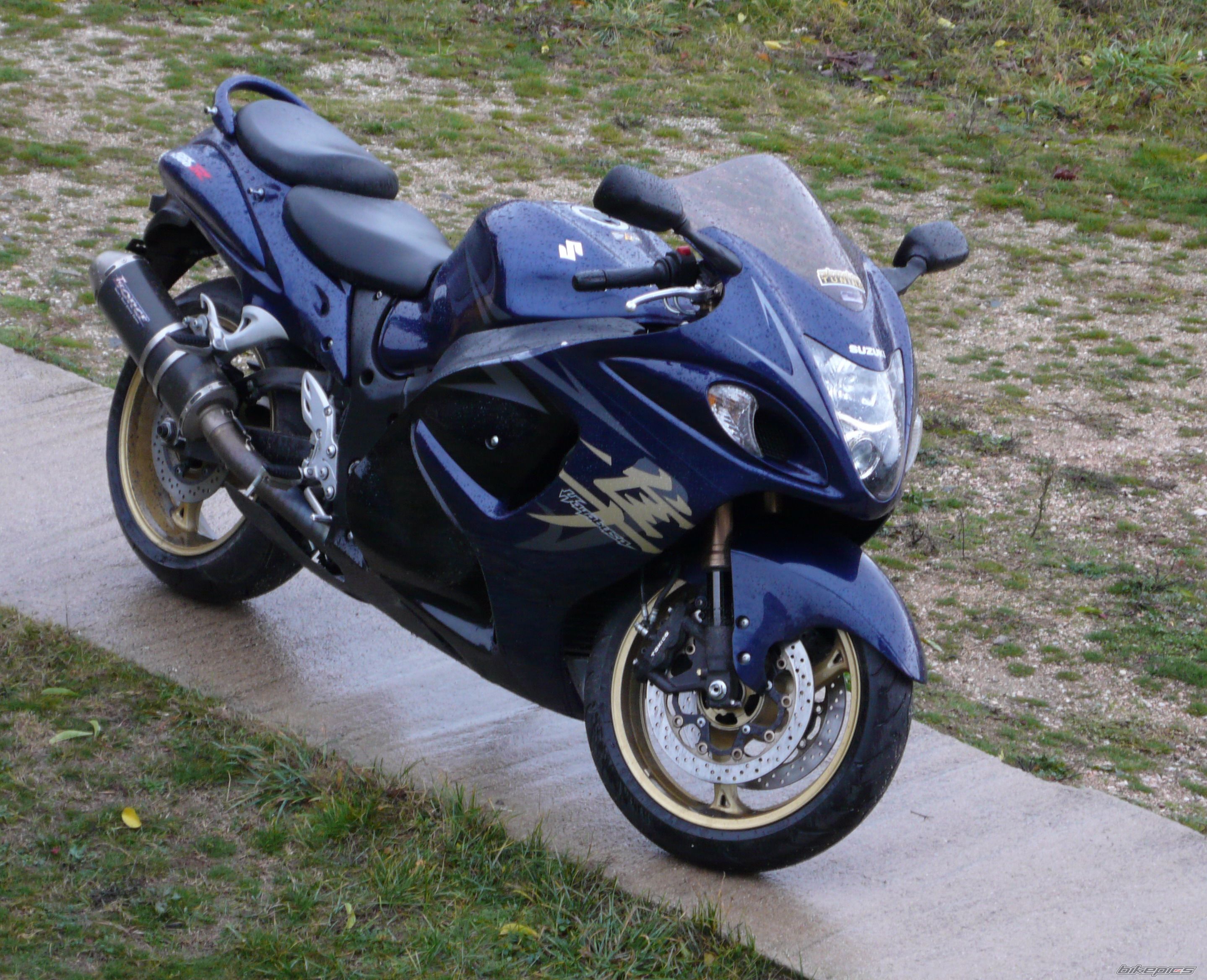 2008 SUZUKI HAYABUSA | Picture 1886273 motorcycle photo