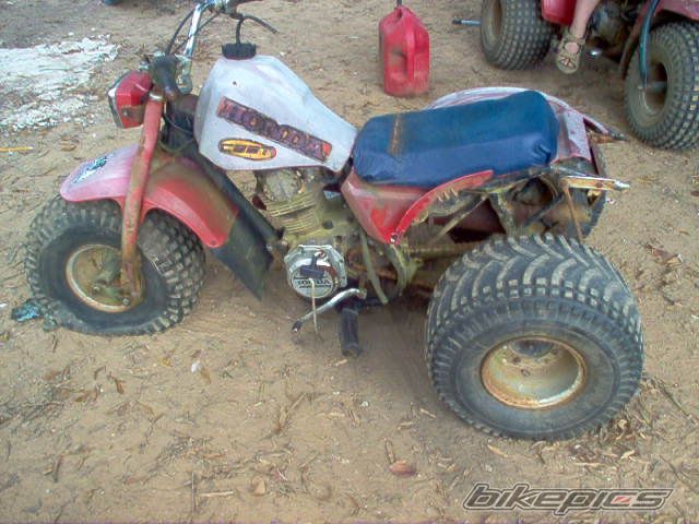 1982 HONDA ATC 185 | Picture 1886343 motorcycle photo
